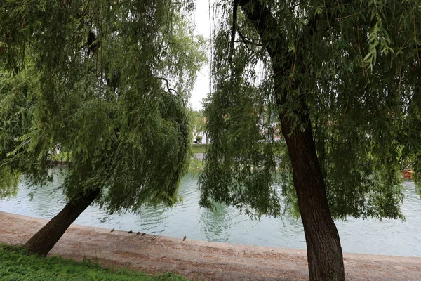 Merkezi Ljubljana, Slovenya başkenti Ljubljanica nehir akar 