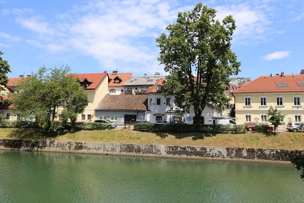 Merkezi Ljubljana, Slovenya başkenti Ljubljanica nehir akar 