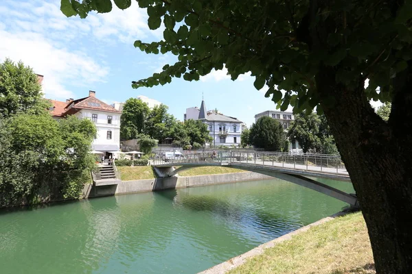 Merkezi Ljubljana Slovenya Başkenti Ljubljanica Nehir Akar — Stok fotoğraf