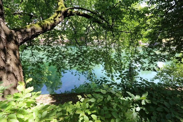 Merkezi Ljubljana, Slovenya başkenti Ljubljanica nehir akar 
