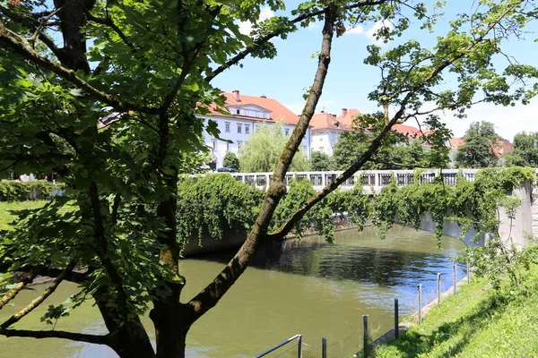 Merkezi Ljubljana, Slovenya başkenti Ljubljanica nehir akar 