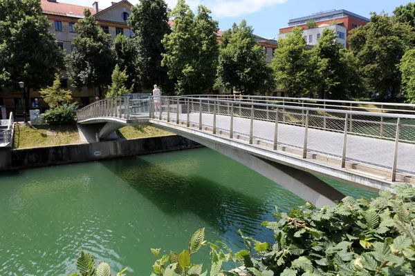 Merkezi Ljubljana, Slovenya başkenti Ljubljanica nehir akar 