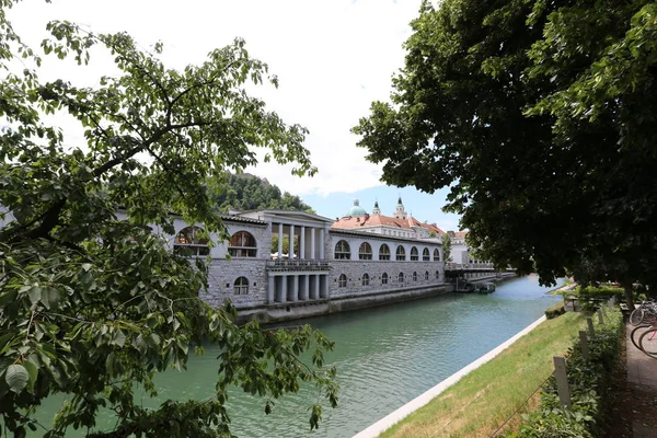 Merkezi Ljubljana, Slovenya başkenti Ljubljanica nehir akar 