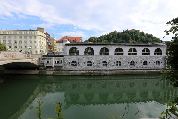 Merkezi Ljubljana, Slovenya başkenti Ljubljanica nehir akar 