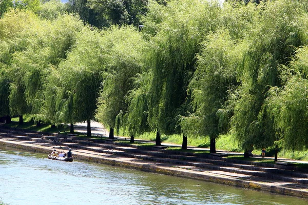 Merkezi Ljubljana, Slovenya başkenti Ljubljanica nehir akar 