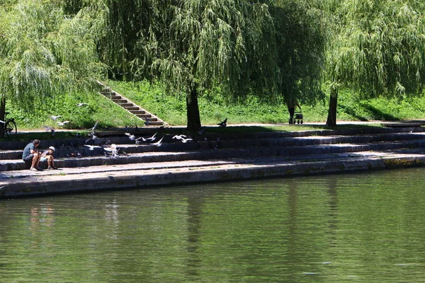Merkezi Ljubljana, Slovenya başkenti Ljubljanica nehir akar 