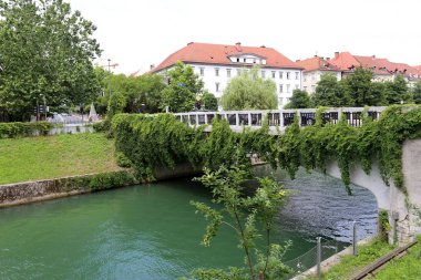 Merkezi Ljubljana, Slovenya başkenti Ljubljanica nehir akar 