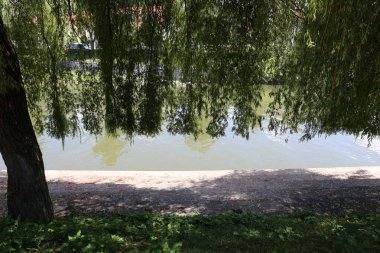 Merkezi Ljubljana, Slovenya başkenti Ljubljanica nehir akar 