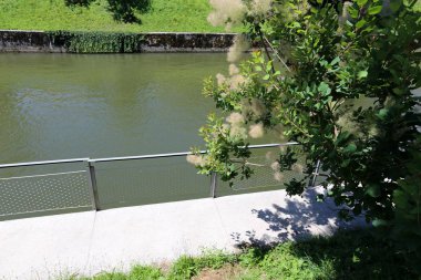 Merkezi Ljubljana, Slovenya başkenti Ljubljanica nehir akar 