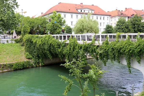 Der Fluss Ljubljanica Fließt Durch Das Zentrum Von Ljubljana Der — Stockfoto