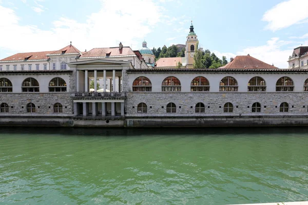 Merkezi Ljubljana, Slovenya başkenti Ljubljanica nehir akar 