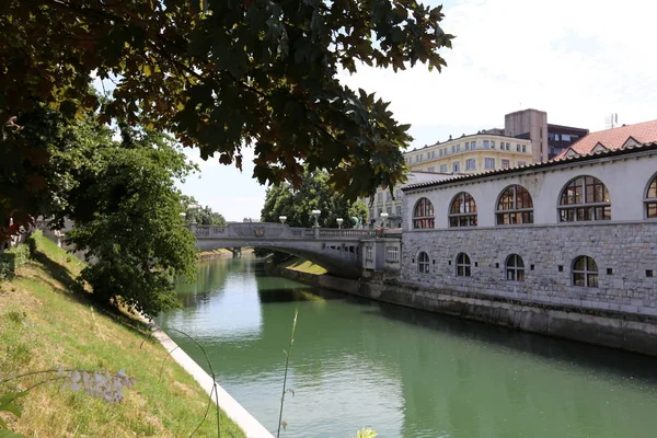 Merkezi Ljubljana, Slovenya başkenti Ljubljanica nehir akar 