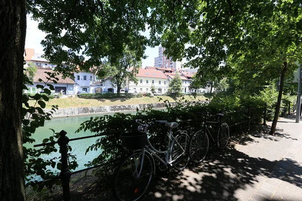 Rzeki Ljubljanica Przepływa Przez Centrum Lublany Stolicy Słowenii — Zdjęcie stockowe