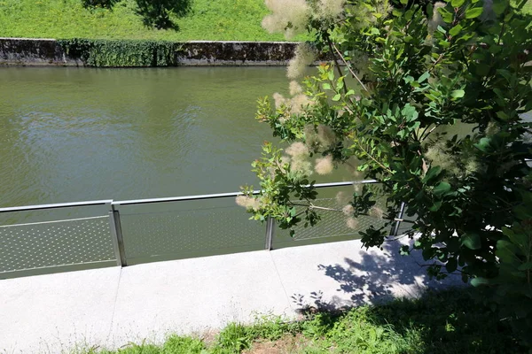 Merkezi Ljubljana, Slovenya başkenti Ljubljanica nehir akar 