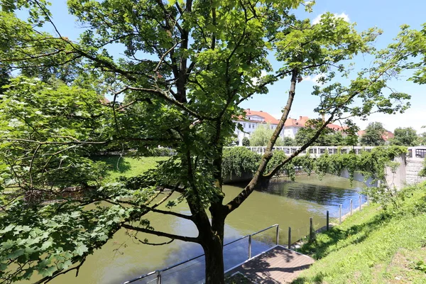 Río Liublianica Fluye Través Del Centro Liubliana Capital Eslovenia — Foto de Stock