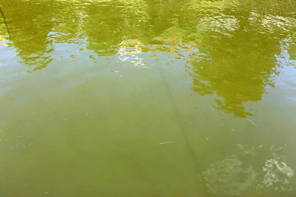 Der Fluss Ljubljanica Fließt Durch Das Zentrum Von Ljubljana Der — Stockfoto