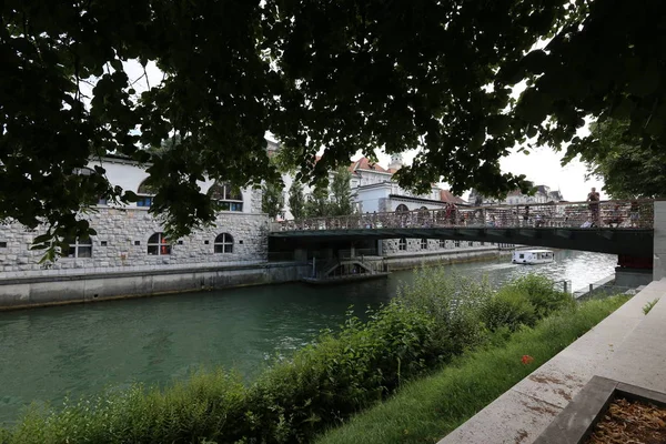 Merkezi Ljubljana Slovenya Başkenti Ljubljanica Nehir Akar — Stok fotoğraf