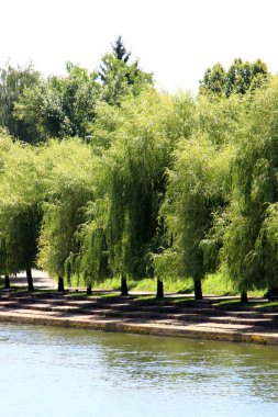 Merkezi Ljubljana, Slovenya başkenti Ljubljanica nehir akar 