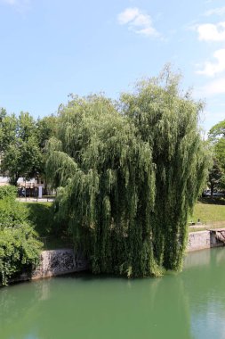 Merkezi Ljubljana, Slovenya başkenti Ljubljanica nehir akar 