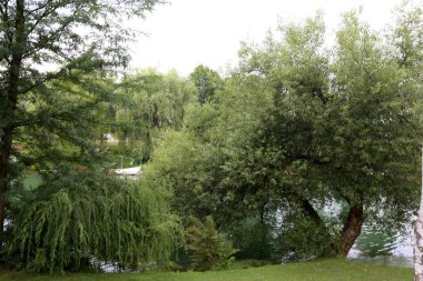 Merkezi Ljubljana, Slovenya başkenti Ljubljanica nehir akar 