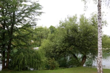 Merkezi Ljubljana, Slovenya başkenti Ljubljanica nehir akar 