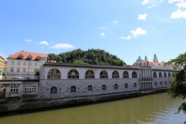Merkezi Ljubljana, Slovenya başkenti Ljubljanica nehir akar 
