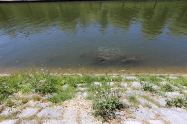 Merkezi Ljubljana, Slovenya başkenti Ljubljanica nehir akar 