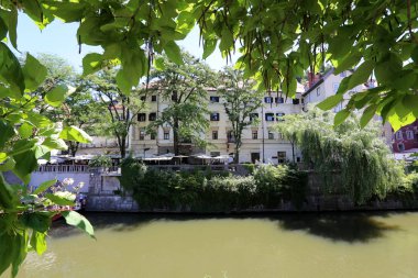 Merkezi Ljubljana, Slovenya başkenti Ljubljanica nehir akar 