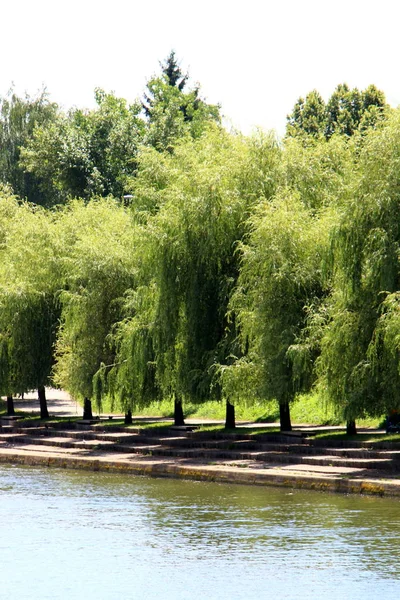 Merkezi Ljubljana, Slovenya başkenti Ljubljanica nehir akar 