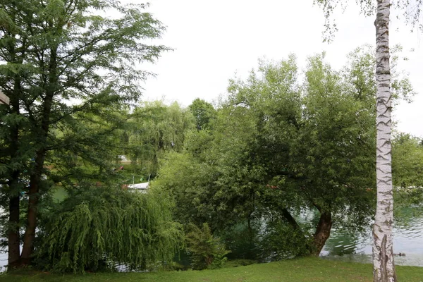 Merkezi Ljubljana, Slovenya başkenti Ljubljanica nehir akar 