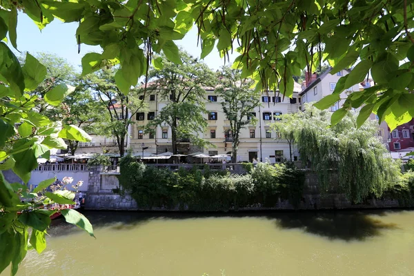 Merkezi Ljubljana, Slovenya başkenti Ljubljanica nehir akar 