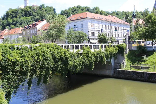 Merkezi Ljubljana, Slovenya başkenti Ljubljanica nehir akar 