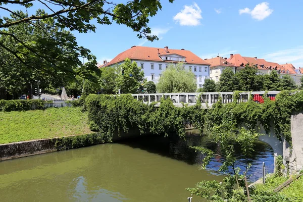 Merkezi Ljubljana, Slovenya başkenti Ljubljanica nehir akar 