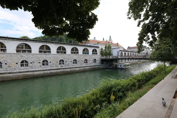 Merkezi Ljubljana, Slovenya başkenti Ljubljanica nehir akar 