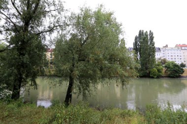 Viyana, Avusturya başkenti eski tuna 