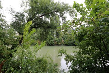 Viyana, Avusturya başkenti eski tuna 