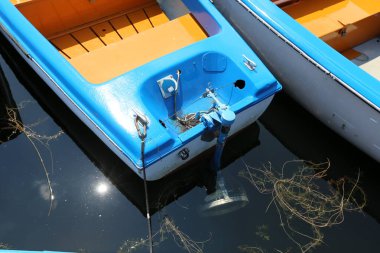 Viyana, Avusturya başkenti eski tuna 