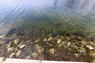 Viyana, Avusturya başkenti eski tuna 