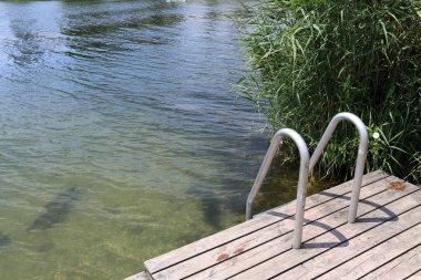 Viyana, Avusturya başkenti eski tuna 