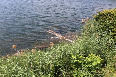 Viyana, Avusturya başkenti eski tuna 