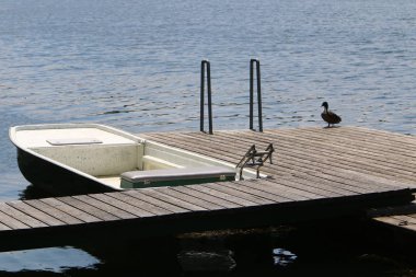 Viyana, Avusturya başkenti eski tuna 