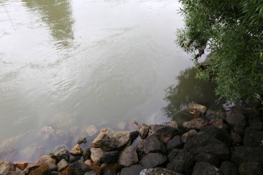 Viyana, Avusturya başkenti eski tuna 