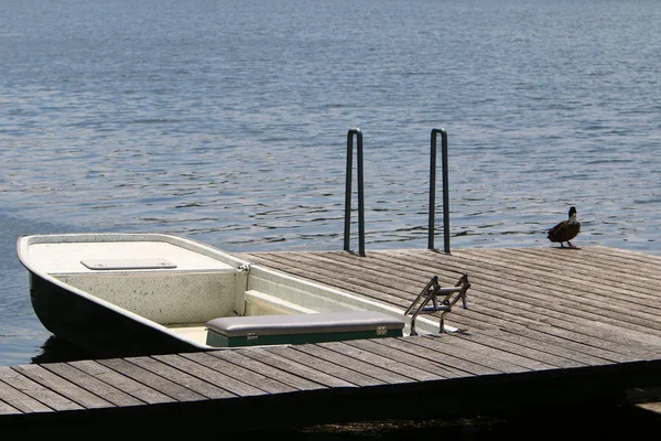 Viyana, Avusturya başkenti eski tuna 