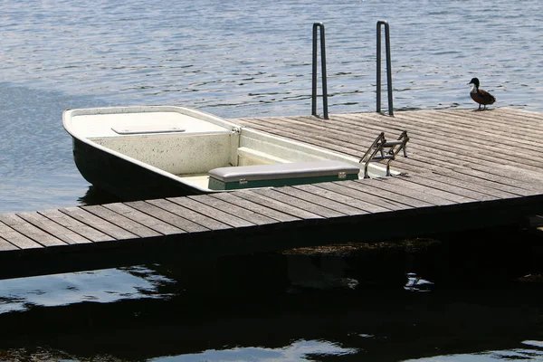 Viyana, Avusturya başkenti eski tuna 