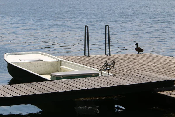 Viyana, Avusturya başkenti eski tuna 