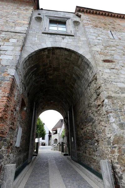 Die Burg Von Ljubljana Ist Eine Mittelalterliche Festung Auf Einem — Stockfoto