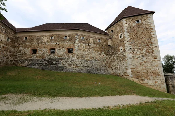 Ljubljana Castle Slovenya Ljubljana Şehir Bakan Bir Tepe Üzerinde Ortaçağ — Stok fotoğraf