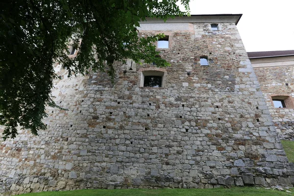 Ljubljanai Vár Pedig Egy Középkori Erőd Egy Dombon Kilátással Város — Stock Fotó