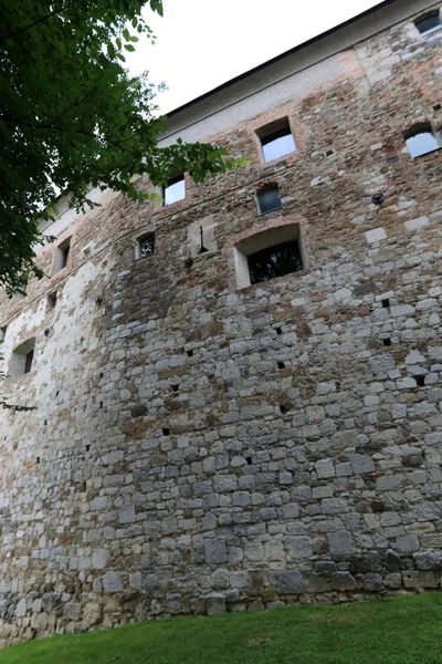 Ljubljana Castle Slovenya Ljubljana Şehir Bakan Bir Tepe Üzerinde Ortaçağ — Stok fotoğraf