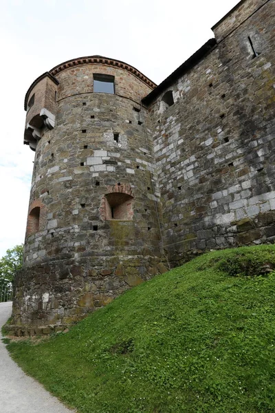 Château Ljubljana Est Une Forteresse Médiévale Sur Une Colline Surplombant — Photo